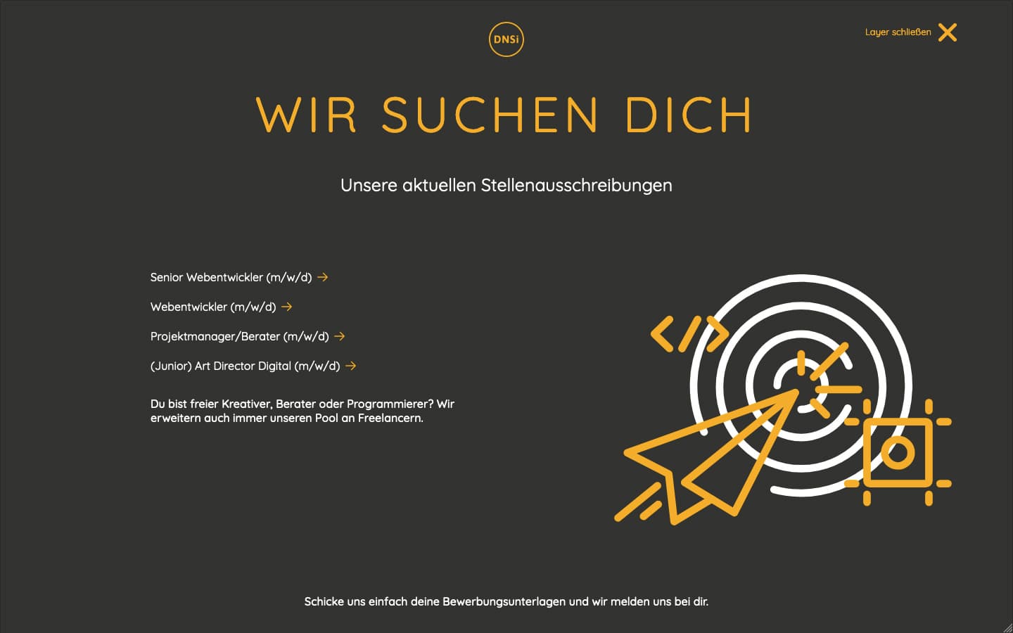 DNSI Website Screenshot