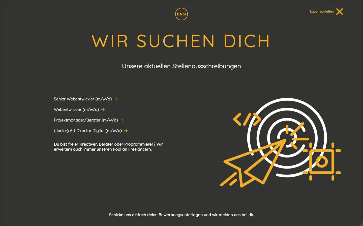 DNSI Website Screenshot