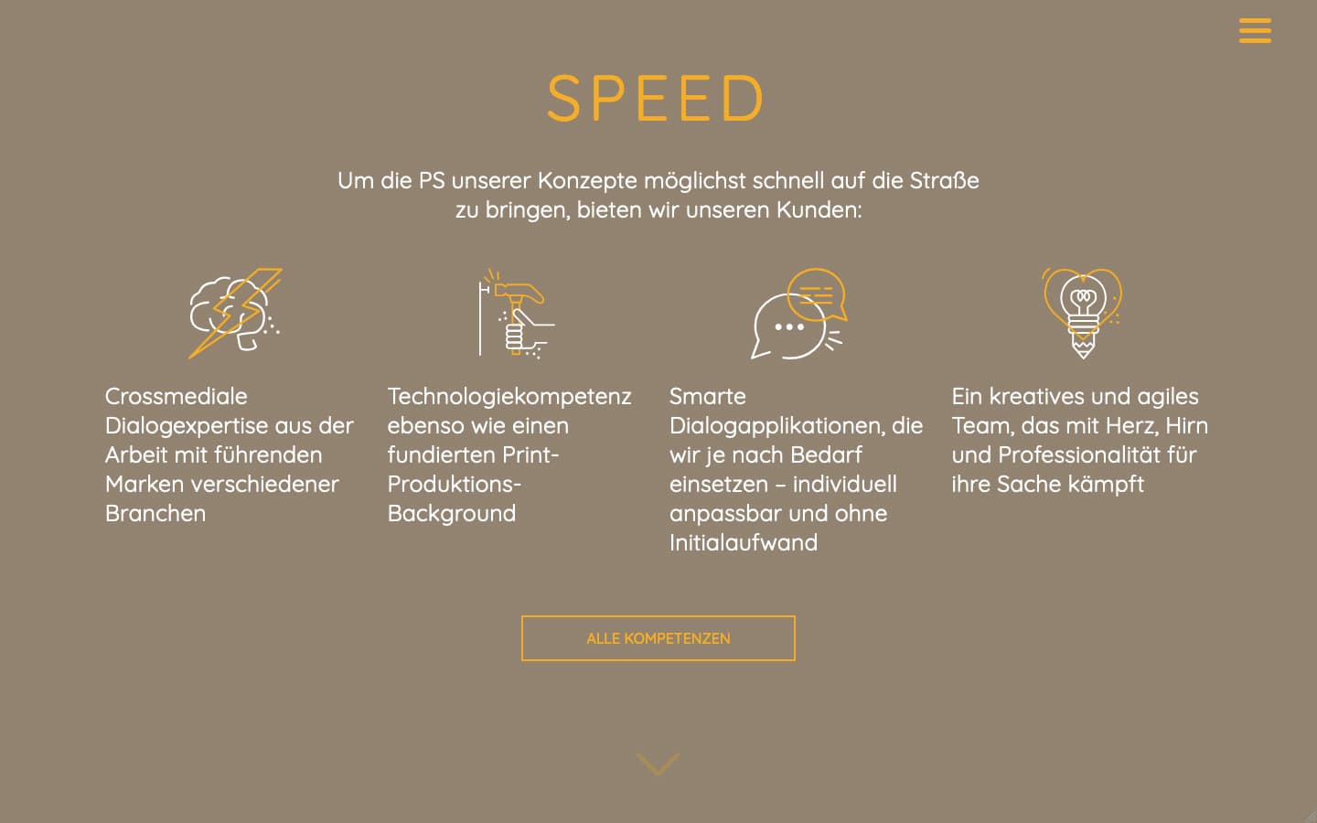 DNSI Website Screenshot