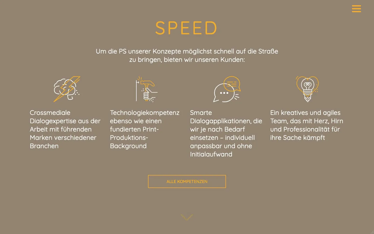 DNSI Website Screenshot