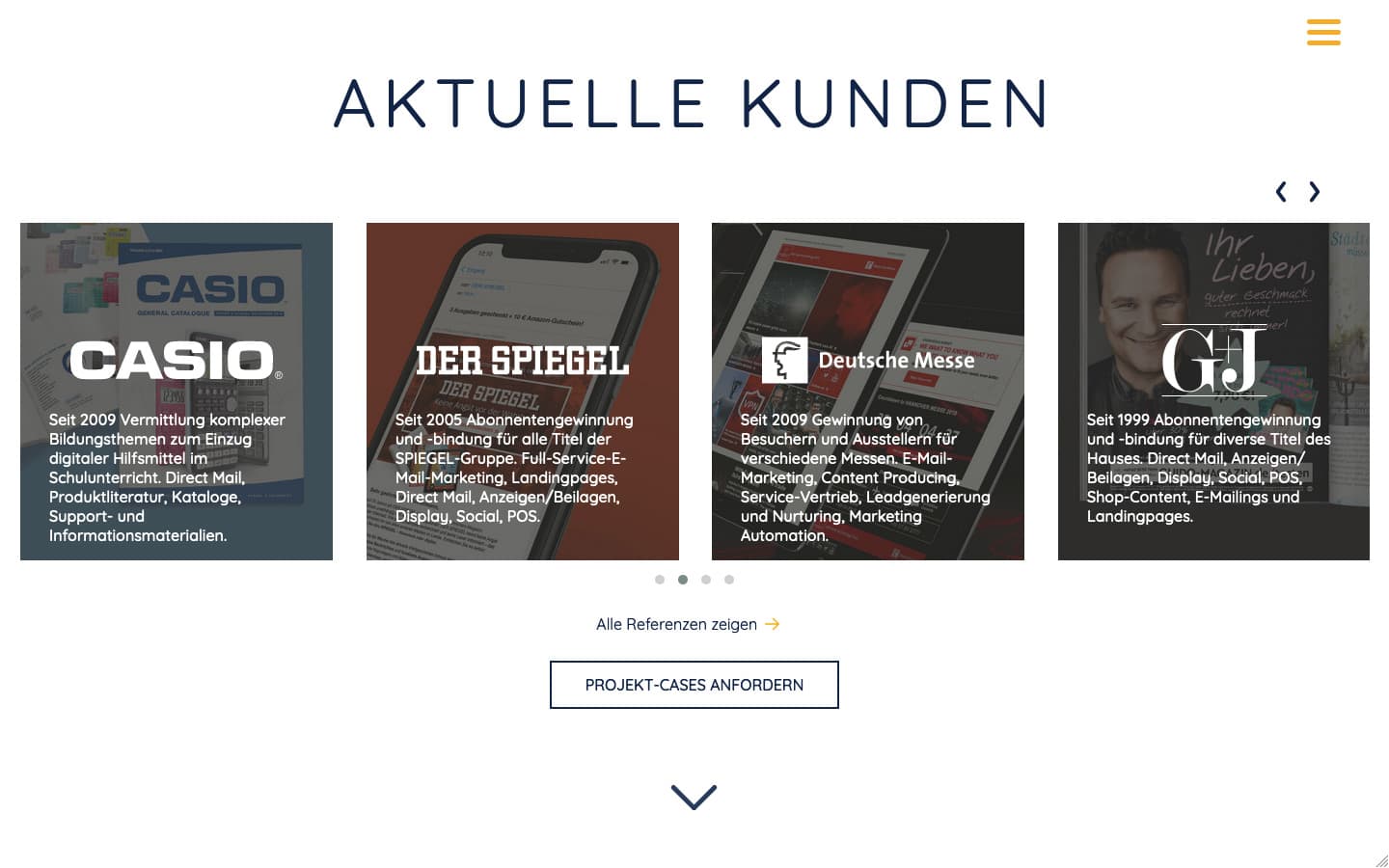 DNSI Website Screenshot