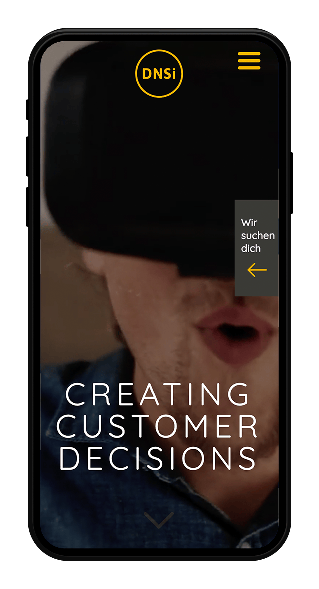 DNSI Website Screenshot