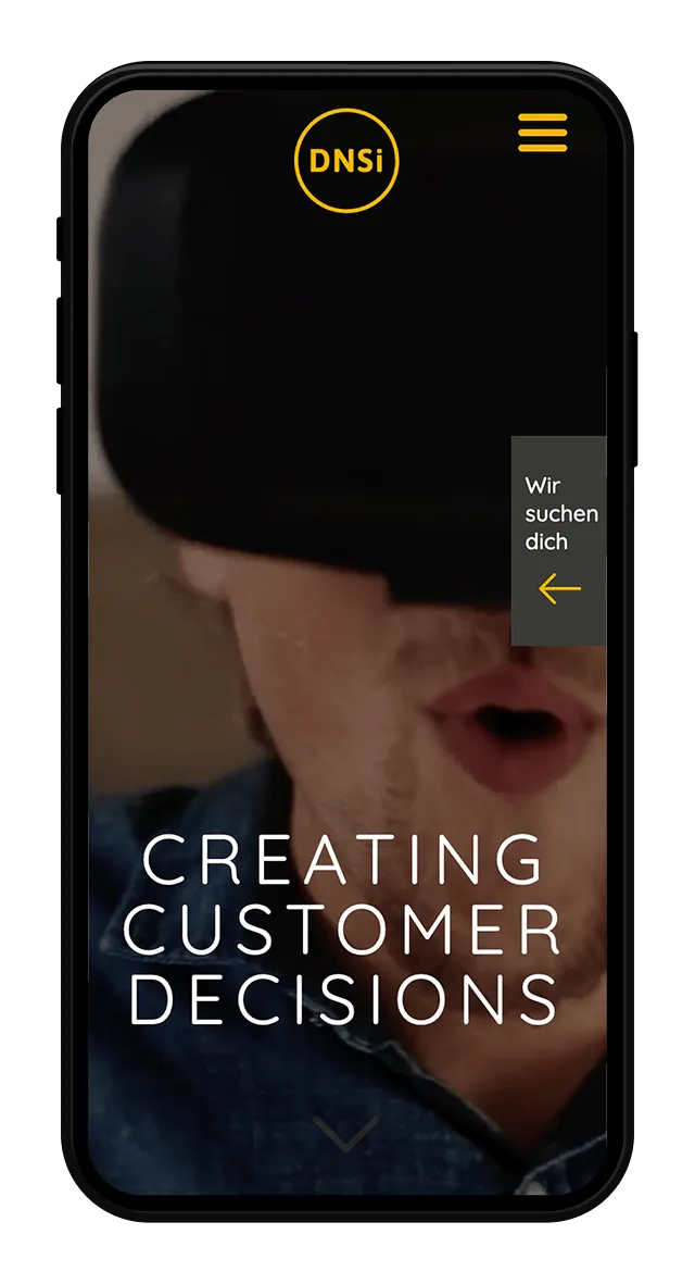 DNSI Website Screenshot