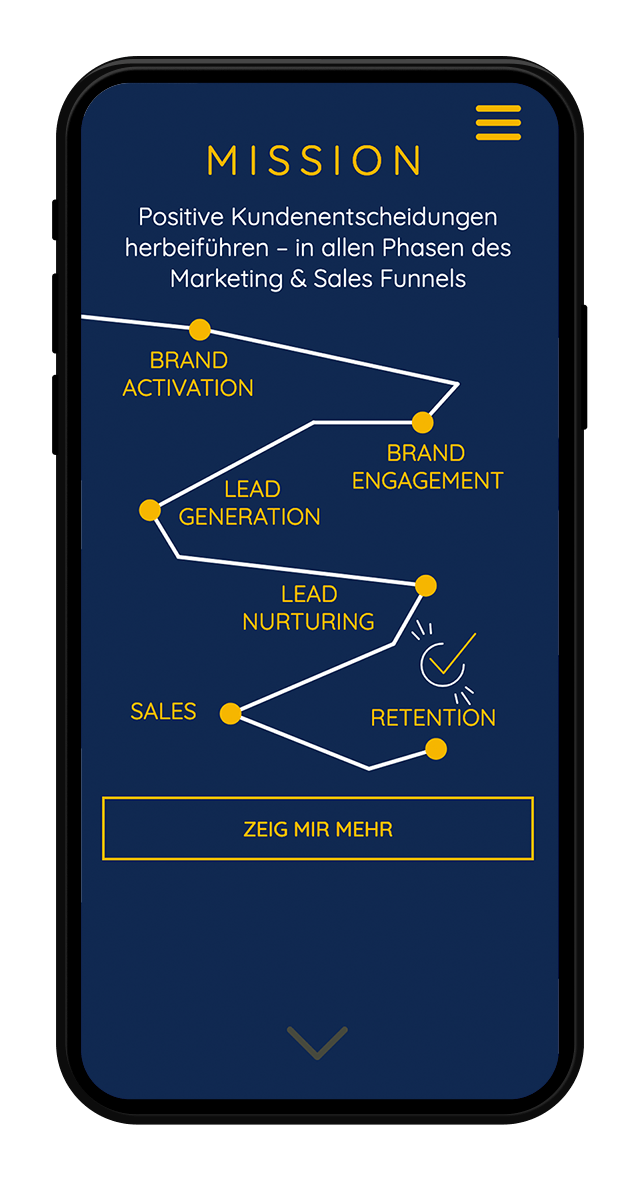 DNSI Website Screenshot