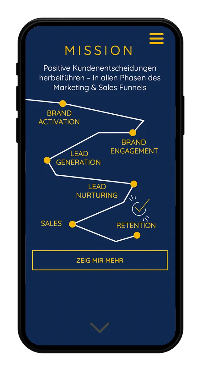 DNSI Website Screenshot