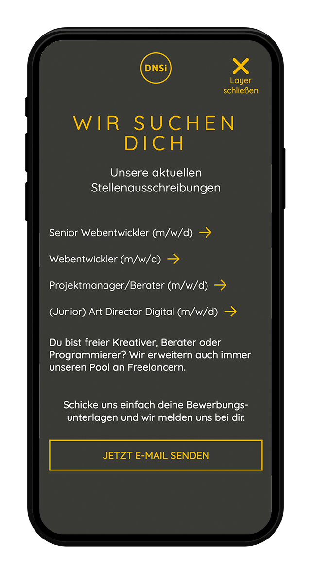 DNSI Website Screenshot