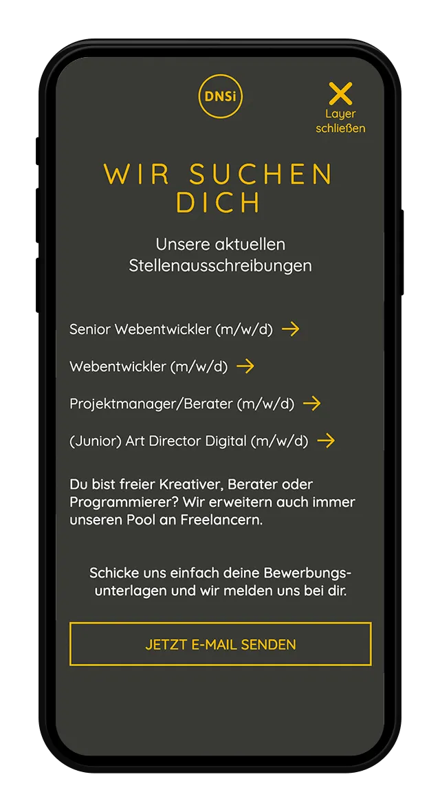 DNSI Website Screenshot