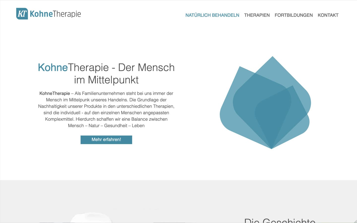 Kohne Therapie Website Screenshot