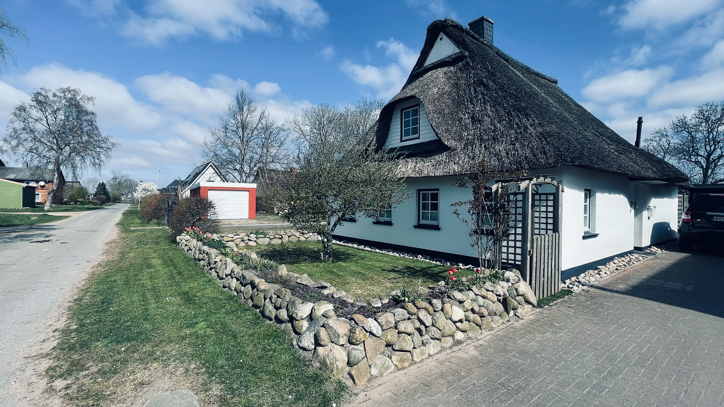 Seabo Website Screenshot